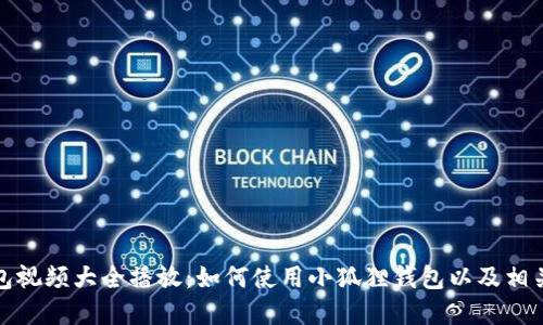 小狐狸钱包视频大全播放：如何使用小狐狸钱包以及相关问题解答