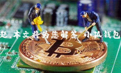 小狐钱包是近年来受欢迎的一种数字钱包，许多人在使用时会担心其真伪问题。本文将为您解答“小狐钱包怎么分辨真假”这一问题，并提供详细的介绍，包括相关的常见问题以及解答。

小狐钱包如何辨别真伪？