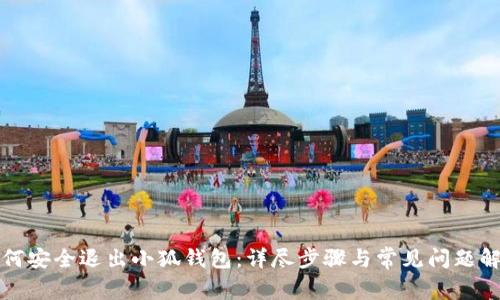 如何安全退出小狐钱包：详尽步骤与常见问题解答