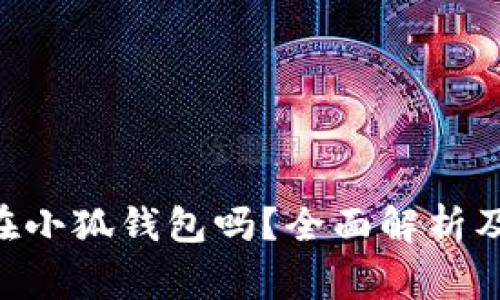 NFT币可以存在小狐钱包吗？全面解析及常见问题解答