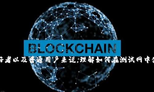 MetaMask使用测试网是一个重要的主题，对于开发者、区块链爱好者以及普通用户来说，理解如何在测试网中使用MetaMask非常关键。以下是一个符合和大众的和相关关键词：

如何在MetaMask中使用测试网进行加密货币交易